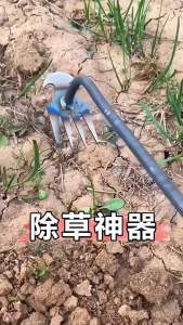 Nexlent Manual Weeding Puller Tool Handheld Weeding Tool Garden Hoe and Rake