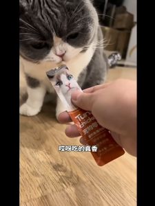 PET DIARY Peien Snack Kucing Makanan Cemilan Basah Kitten Adult 15g Mudah Dicerna Nutrisi Suplemen