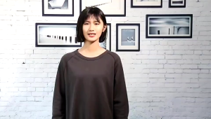 12PCS Artificial plant bamboo Mango leaves maple leaves banyan leaves home decorations and display