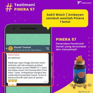 Pinera57 Asli 100%  Red Pine/ Obat Kolesterol/ Asam Urat/ Aslam/ Stroke/ Jantung/ Diabetes/ Hipertensi Pinus Merah Korea