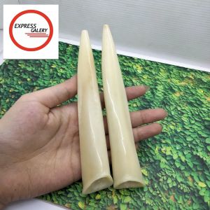 Pipa once padutan tulang iga dy motif taring spesial B104