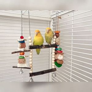 🇸🇬 Bird Swing Pole Chewing Toy Combo Playset