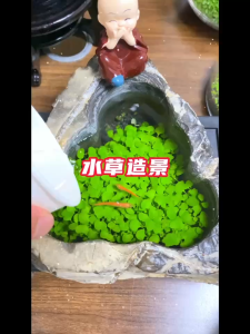 Water grass seed fish tank aquarium landscaping mini ecosystem plant hydroponic big leaf cow hair seeds
