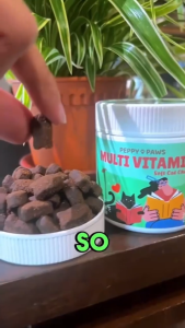 [Cat] Peppy Paws Pet Supplement Flea & Tick | Healthy Gut | Multi Vitamin | Skin & Coat (90 soft chews)