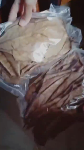 (10 pcs) Daun Ketapang / Indian Almond Leaves / Catappa Leaf untuk akuarium ikan betta