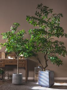 Large Size Realistic Imitation Plant Arbutus Mollis Potted Indoor Living Room Bonsai Landscape Decoration Royal Forest Brand