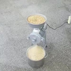 CHUANGCHAO 2800W New Portable Grinder Wet And Dry Grinder Machine Corn Grinder Rice Grinder Coffee Peanut Grinder