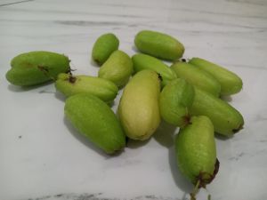 belimbing sayur asli segar 50 gram