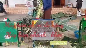Máy băm cỏ  thái chuối lát đa năng 15kw