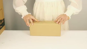 Jebakan Tikus B-44 Clamshell ABS Transparan & Kuat