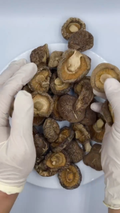 光面菇 150g 4-5cm Glossy Dried Mushroom 4-5cm 150g