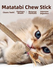 VOA | Teeth Cleaning Cat Teaser Toy Catnip Ball