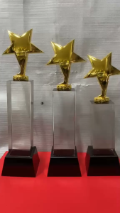 Star Metal Glass Trophy SET OF 3 HEIGHT : 33CM/30CM/27CM (CUSTOMIZE AVAILABLE)