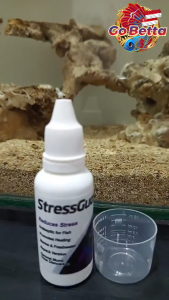 Seachem Stress Guard 30ml Fish Stress Relief Slime Coat Protector | Wound Healing Formula | Aquarium Water Conditioner | Arowana Grooming & Tanning Support | Fish Transport Recovery | Freshwater & Marine Aquarium Treatment | Repack