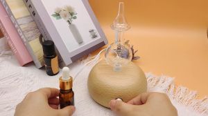 Intermittent Spray Aromatherapy Essential Oil Aroma Diffuser Air Purification Anty-odor