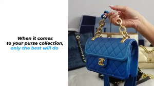 5Pcs Multipurpose Handbag Hanger Rack WonT Let Bags Deformed Arch Hook Tote Bag Rack Holder