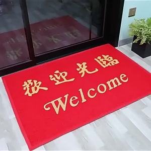 MOLORE | Welcoming PVC Door Mat Thick