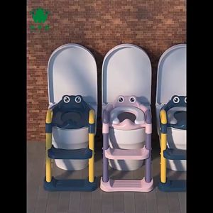 Local Delivery: Adjustable Ladder Training Device & Foldable Baby Toilet