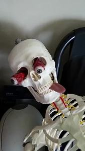Horrible New Prank Props Tricky Realistic Tongue Small Simulation TPR Magic Fake Tongue Halloween Party Decompression Scary