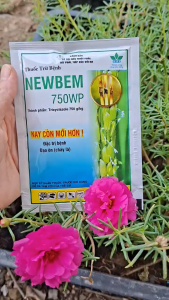 [TRUNG THIEN THINH] Trừ nấm bệnh dưỡng xanh lá đòng NewBem 750WP công ty HAI gói 25 gram