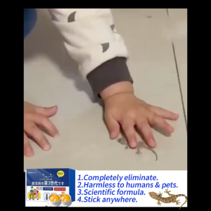 🦎100% effective in killing lizards and geckos🦎 lizard killer ubat cicak paling berkesan racun cicak mati 3 saat paling kuat cicak killer lizards trap lizard gecko repellent 壁虎药