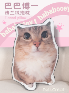 Cute Cat Meme Plush Pillow Home Sofa Decor Creative Gift Modern Simple Style Daily Use Pet Easy Cute Baabobo One Pillow