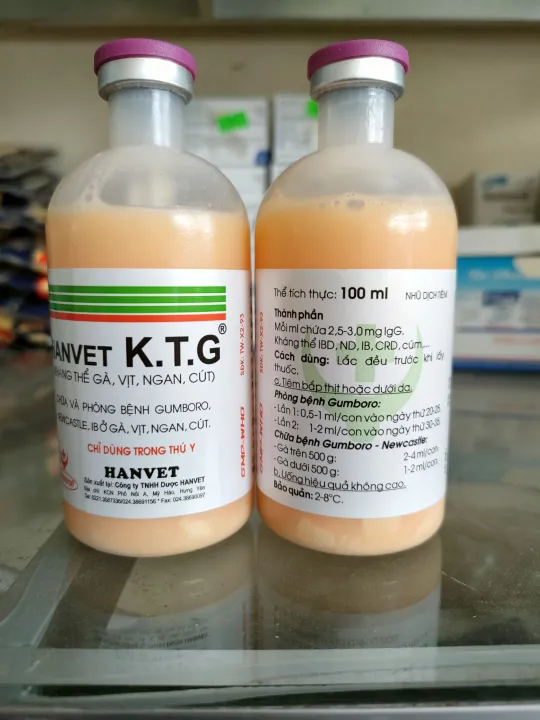 Kh%C3%A1ng%20th%E1%BB%83%20g%C3%A0%20KTG%20ph%C3%B2ng%20ch%E1%BB%AFa%20Gumboro,%20Newcastle%20g%C3%A0%20%C4%91%C3%A1,%20g%C3%A0%20ch%E1%BB%8Di%20-%20Image%204