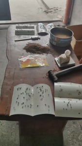 Akita (10pcs) Fly ADHESIVE Glue Trap Fly Killer 10pcs (Strong Fly PaperInsects Catcher Board