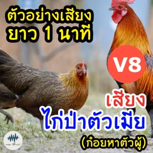 เสียงไก่ป่าตัวเมีย V.8 (ก๋อยหาตัวผู้) แบบเมม/แฟลชไดร์ฟเสียงไก่ป่าตัวเมีย V.8 ชัดแจ๋ว 100% ไม่มีโฆษณาแทรก มีเก็บเงินปลายทาง (MP3 เสียงต่อสัตว์)
