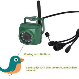 Camera Wifi Tuya APP Ngoài Trời Không Dây 4MP 2MP Mini Hình Nhà Chim Tích Hợp Máy Cho Chim Ăn Đèn LED 940nm Giám Sát Động Vật