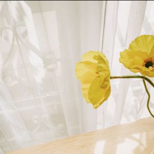 Vitrase Gorden Putih Polos Bahan Tebal