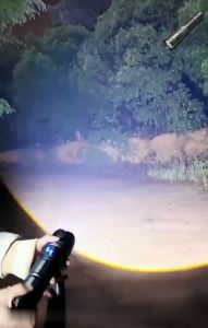 รับประกัน 10 ปี🔦ไฟฉายแรงสูง แท้ ไฟฉายสว่างมากๆ แสงยิงไกลถึง10000เมตร ไฟฉายledชาร์จได้ ไฟฉายแบบชาร์จ ไฟฉายกันน้ำ ไฟฉายแรงสูง1000000lmปรับแสงได้5ระดับ ไฟฉายเดินป่า ไฟฉายแรงสูงไกลไฟฉายติดปืนไฟฉายคาดหัวแรงไฟฉายคาดหัวไฟledพกพาไฟฉายพกพาจิ๋วflashlight