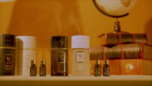 Vanzo Negative Ion Aroma Diffuser Essential Oil Vanzo All Series Car Perfume Vanzo