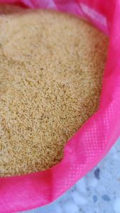 Jual Telur Jangkrik Kemasan 1 kg untuk Ternak Jangkrik Kualitas Super Produksi Sendiri