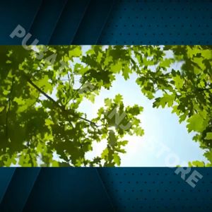 BERGARANSI LeKing Air Mancur Kolam Ikan Tenaga Surya Solar Water Fountain ZK737