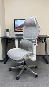 Tekpoly Pink Full Mesh Gaming Chair Girl Streamers Chair Gift for Girlfriend and Wife - Lazada