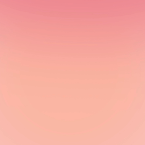 Buku Inggeris | English Book : A Short History of Nearly Everything By Bill Bryson | Science