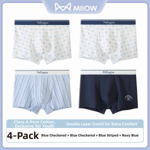 MiiOW | Teen Boy Development Stage Flat Shorts