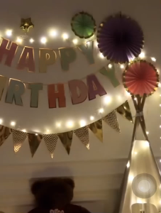 Happy Birthday Banner Wall Party Decoration Photo Booth Graduation Dinasour Baby Shower 生日毕业背景装饰拉旗