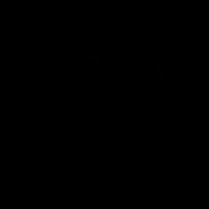 SAFESCAN 2865-S BANKNOTE VALUE COUNTER