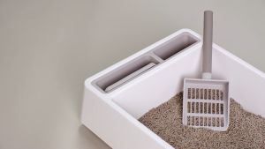 LF fole livet Cat Litter Antibacterial Fast water Absorption Rainbow cat litter 100%Natural tofu litter cat Dust-free Pasir Kucing