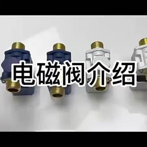 MEINWAY | Automatic Solar Water Control Valve 12V