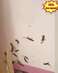【Acara khas masa terhad Teknologi Baharu Jepun 2025】AK Lizard killer bait Lizard killer Racun cicak Teknologi membunuh rantai，100% berkesan  Cicak killer Racun cicak paling kuat Ubat cicak Lizard repellent Gecko repellent 壁虎药 壁虎驱除剂