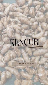 Kencur Iris Kering Kualitas Premium - Rempah Kering by Jamu Gendul 88