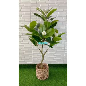 Dekorasi Rumah dan Cafe dengan Pohon Plastik Tanaman Artificial Magnolia T120 Latex Cover