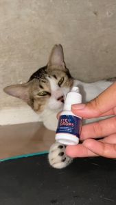 Clever Solutions - EYE PLUS DROPS (Obat Tetes Mata Kucing, Obat Sakit Mata Kucing, Belekan, Iritasi, Infeksi, Berair)