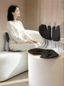 Lumbar Support Comfort Seat Cushion