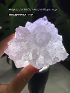 Lavender Amethyst Flower 🌸 Amethyst Translucent raw crystals 💡 薰紫晶花🌸Amethyst 裸晶透光💡 小钛晶母矿共生