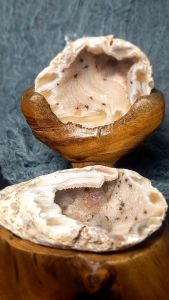 Agate treasure bowl natural raw skin