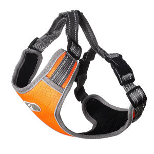 HOOPET | Dog Harness and Leash for Medium and Large Dogs
